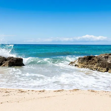 Corbezzolo By Vivimy 別荘 *