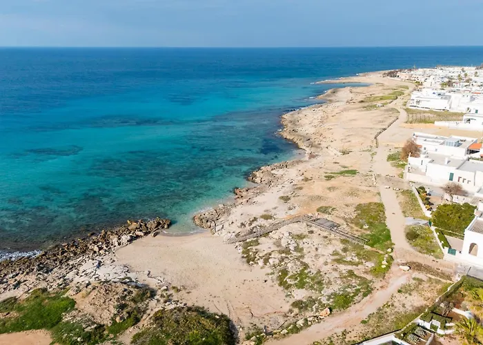 Corbezzolo By Vivimy