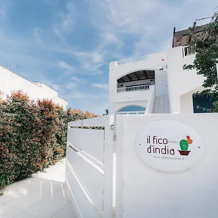 Casa vacanze Corbezzolo By Vivimy Taviano (Lecce)